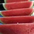 河南夏邑8424西瓜大量上市