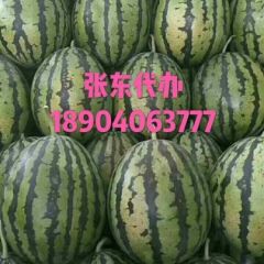 辽宁凌海优质西瓜 大量供应