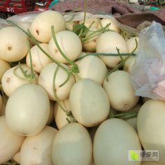 大量供应久红瑞，小蜜25，东方蜜