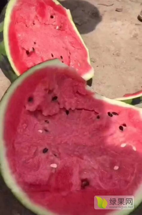 甜王系列价格