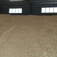 供应湖北优质小麦！