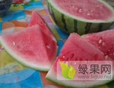 西瓜基地代发