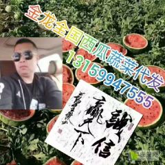 黑龙江，吉林，辽宁，金龙代办代发西瓜中心