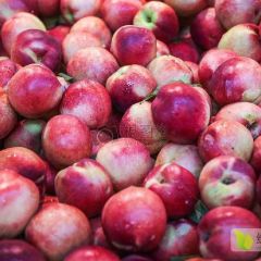 山东费县毛桃油桃大量上市