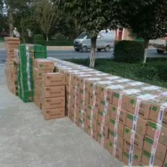 档口大量收购应季果蔬