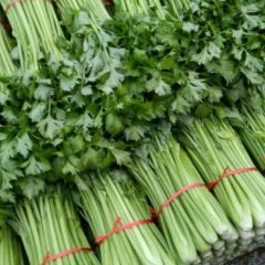 黄永红蔬菜信息代收代办