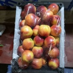 代销各种南北水果