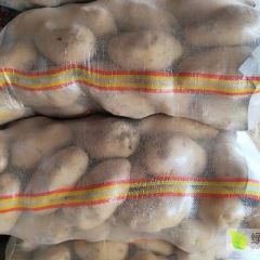 江苏徐州优质荷兰十五土豆