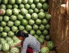 湖北省钟祥市优质山坡沙土地金城五号上市中