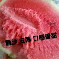 靖远硒砂瓜大量上市中