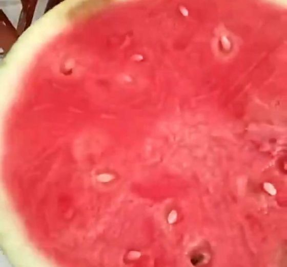 花皮无籽价格