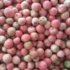 中牟陆地硬粉（前期质量）适合长途运输