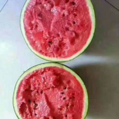 大量九一西瓜上市，瓜多车少好装车