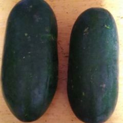 洪显蔬菜供应合作社