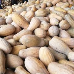 湖北嘉鱼南瓜产地直销