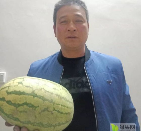 甜王系列价格