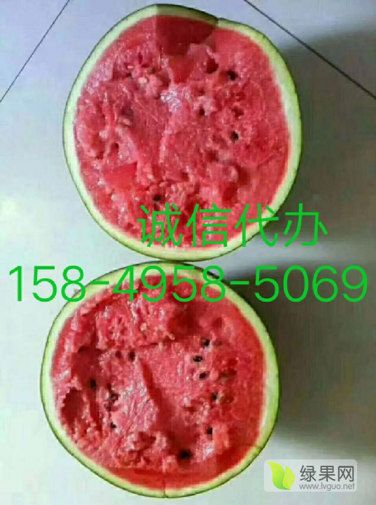 甜王系列价格