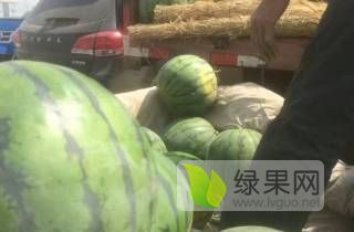 2019年河北清苑京欣价格