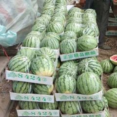 河南扶沟西瓜代办小万