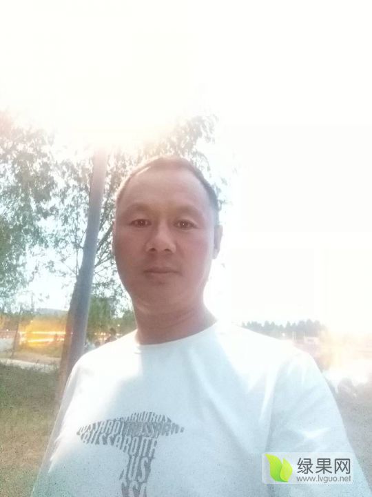 2019年河南尉氏京欣价格