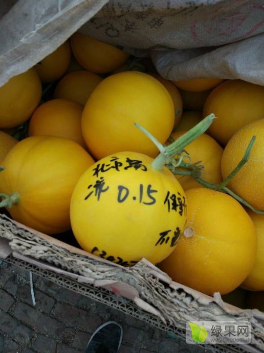 2019年山东莘县久红瑞价格