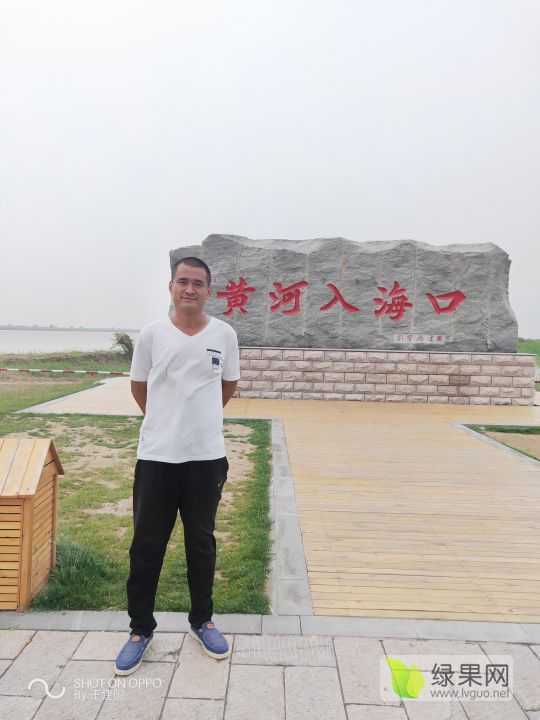 西农八号价格