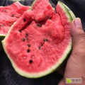 山东潍坊寒亭区早春红玉西瓜 墨瞳西瓜 二K西瓜