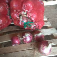 安丘优质大红洋葱，个头大口感脆甜