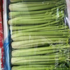 日销售30000斤西芹，求稳定货源
