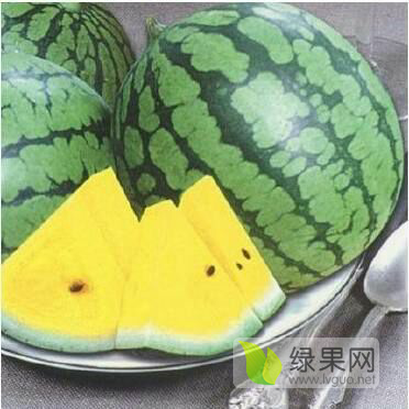 2019年江苏东台特小凤价格