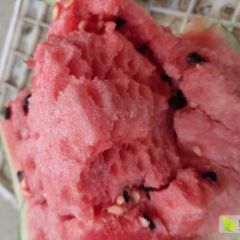 开封实力西瓜代办刘奎