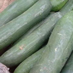 让你满意赚钱，高兴拉货