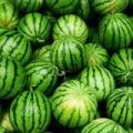 鑫源蔬菜水果代收