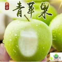 盐湖区嘎巴脆的青苹果鲜的能出水
