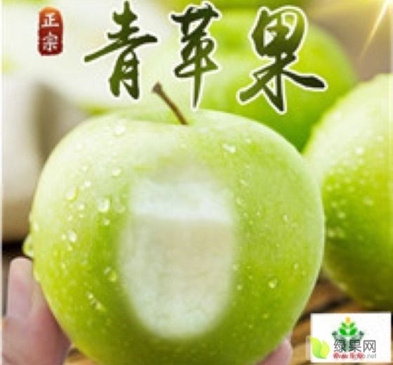 2019年山西盐湖青苹果价格