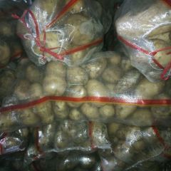 常年出售各类土豆