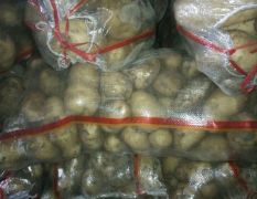 常年出售各类土豆