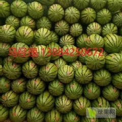 甘肃晒砂瓜上市了