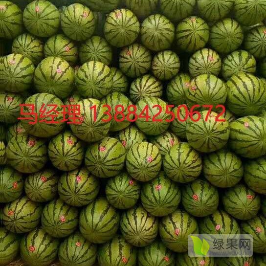 硒砂瓜价格