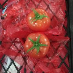 广州江南专业代卖西红柿
