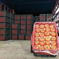 日销60000斤(大红)西红柿，求稳定货源