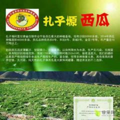 会宁县瓜类蔬菜发展协会