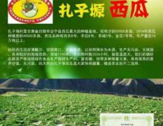 会宁县瓜类蔬菜发展协会