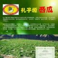 会宁县瓜类蔬菜发展协会