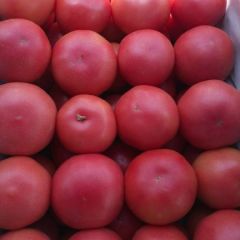 真诚合作，诚信为本质量第一