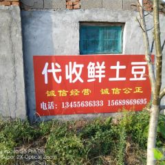 我是土豆谁来把我带走