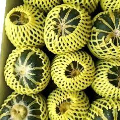 冰糖籽甜瓜大批上市掉价中