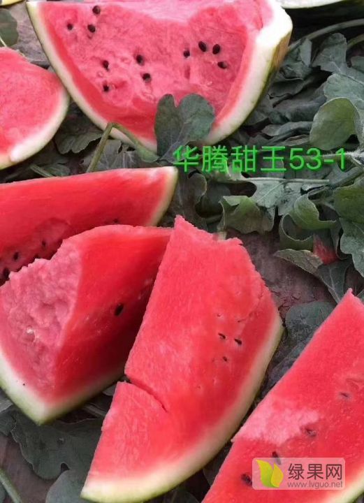 甜王系列价格