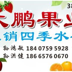 广东湛江江南水果批发市场专业代销