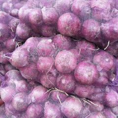 二红洋葱，洋葱大量上市